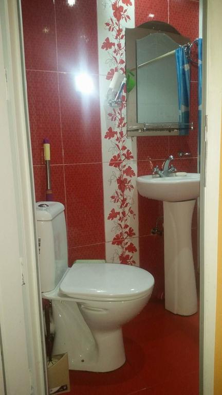 Archil&Nino Gigauri Guest House Kazbegi Esterno foto